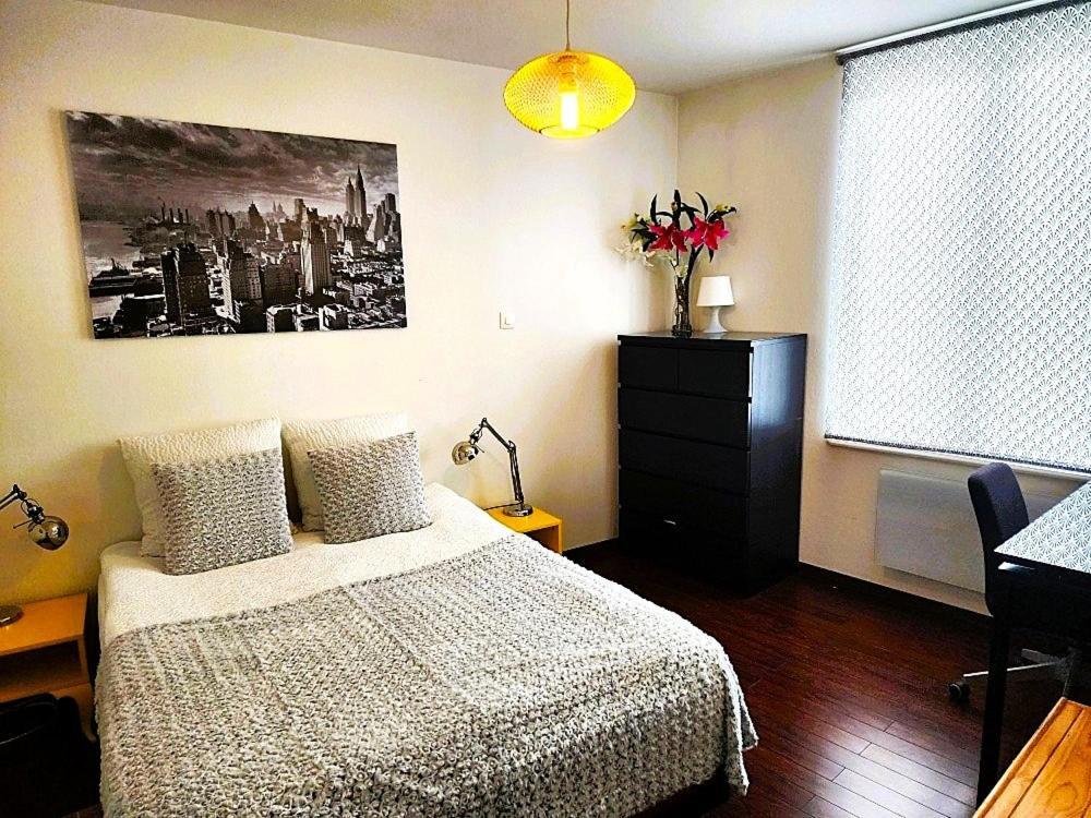 Appartement 3 Pieces, Krutenau, Parking Prive 斯特拉斯堡 外观 照片